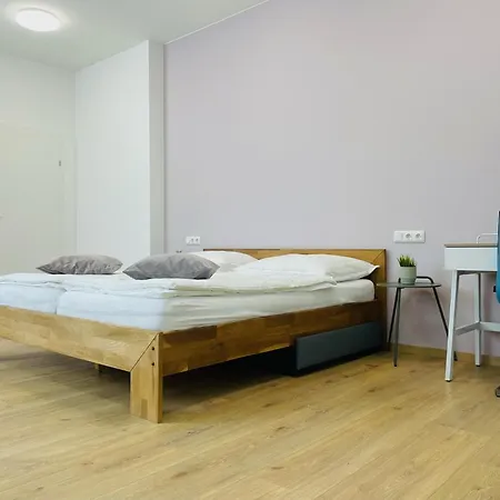 Appartement Salon Des Fleurs Linz-landstrasse