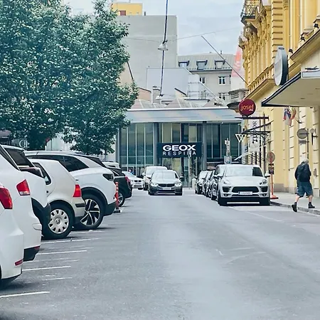 Salon Des Fleurs Linz-landstrasse Apartment