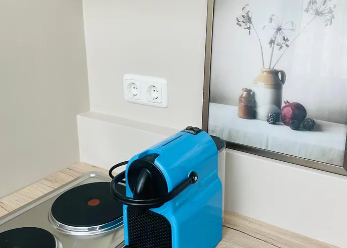 Salon Des Fleurs Linz-landstrasse Λιντς