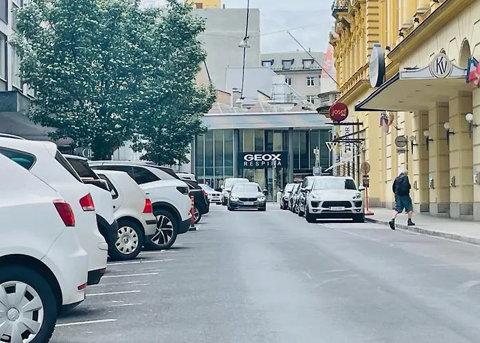 Salon Des Fleurs Linz-landstrasse Διαμέρισμα