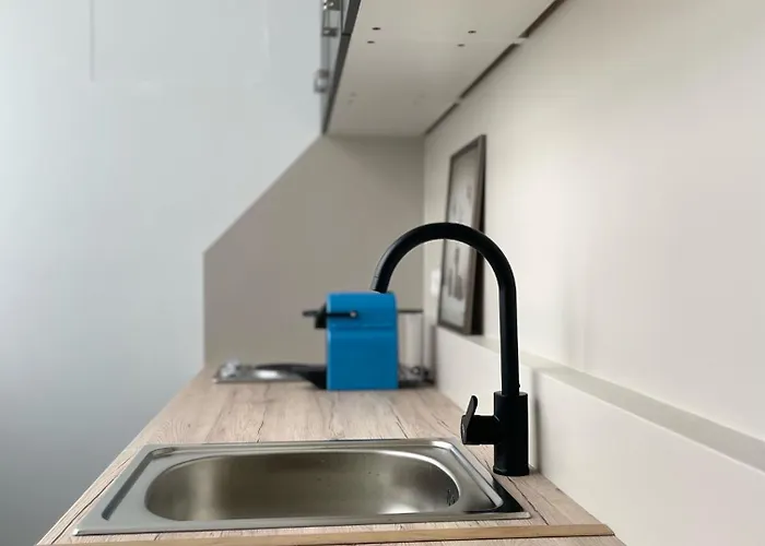 Apartmán Salon Des Fleurs Linz-landstrasse